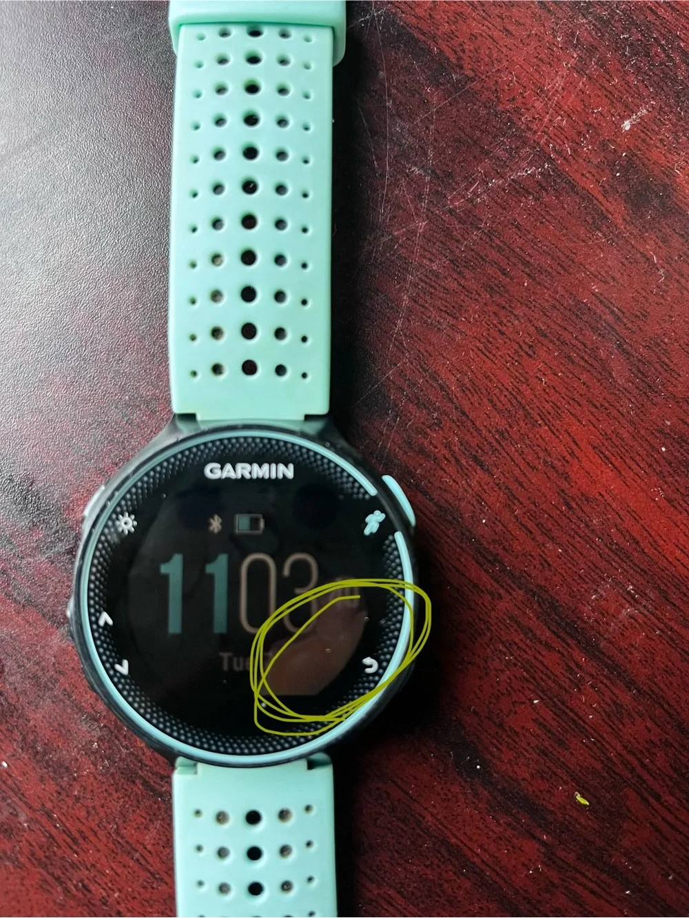 Garmin 235 Forerunner Smartwatch with Mint Green Perforated Band